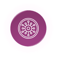 Advisors & Wisdom Keepers